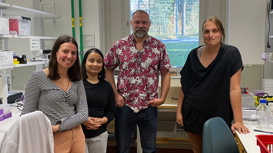 Eirini Antoniou, Subhamita Maitra, Johan Holmberg och Caroline Lindehell vid Institutionen för molekylärbiologi, Umeå universitet. Foto, Olof Jansson.
