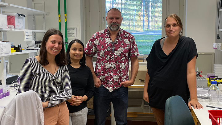Eirini Antoniou, Subhamita Maitra, Johan Holmberg och Caroline Lindehell vid Institutionen för molekylärbiologi, Umeå universitet. Foto, Olof Jansson.