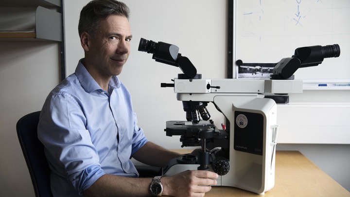 Bakgrund: Ett reportage till Barncancerfondens webb om ett forskningsprojekt som går ut på att göra en total kartläggning av cancersjuka barns arvsmassa.BCF finansierar projektet med 15 MKR.Reportaget på forskaren David Gisselsson Nord på BMC i Lund.På bild: Forskaren David Gisselsson vid sitt mikroskop på hans kontor i Lund.Fotograf : Johan BävmanUppdrag : Carl Hjelm / OTW