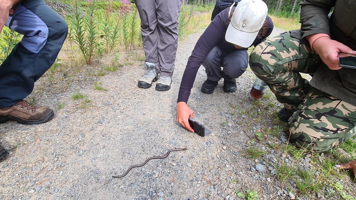 Bilder tagna av forskaren Miek Jong från hennes och Mats Jongs hajk de kallar Wilderness, under deras forskningsstudie kring barncanceröverlevare med sena komplikationer och effekten av naturupplevelse för deras välmående. Hajken skedde under sommaren 2022 vid Höga kusten