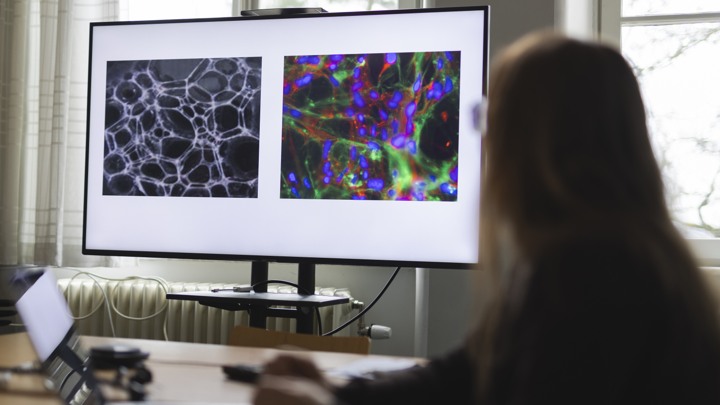 En kvinna sitter vid ett skrivbord framför en dator